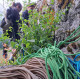 Nea Baticu Memorial - 3 New Multi-Pitch Routes in Șuncuiuș Nea Baticu Memorial - 3 New Multi-Pitch Routes in Șuncuiuș
