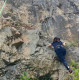 Fresh blood - One decent escalade route suited for beginners Fresh blood - One decent escalade route suited for beginners