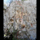 Fresh blood - One decent escalade route suited for beginners Fresh blood - One decent escalade route suited for beginners