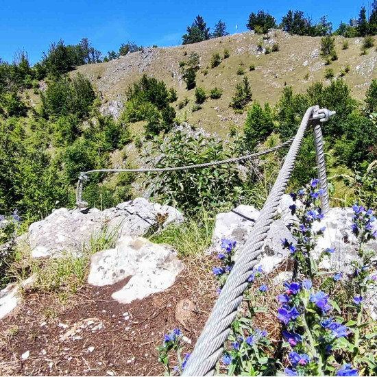 Șura Ușorilor – Valea Dâlbii, Căbești, Bihor Șura Ușorilor – Valea Dâlbii, Căbești, Bihor